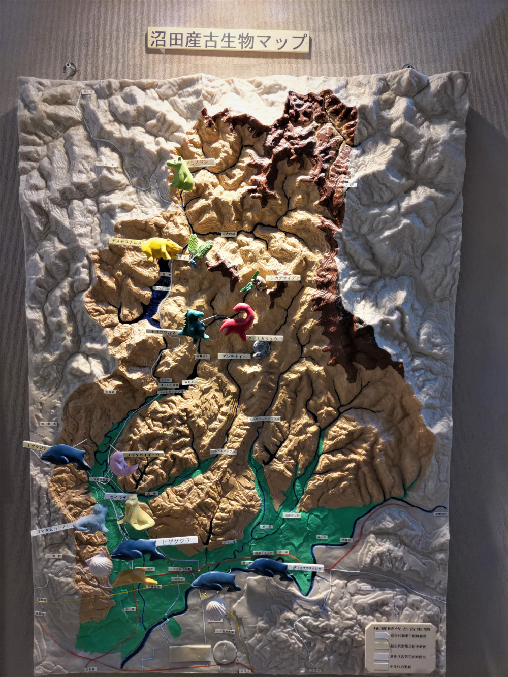 インタビュー 美術館・博物館から見る“空知” ～第5回 沼田町化石館